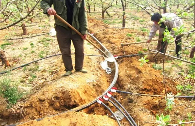 他用3年时间完成了经销商向综合服务商的转型,未来3年销售目标是10个亿,信心何来? 他用3年时间完成了经销商向综合服务商的转型,未来3年销售目标是10个亿,信心何来?