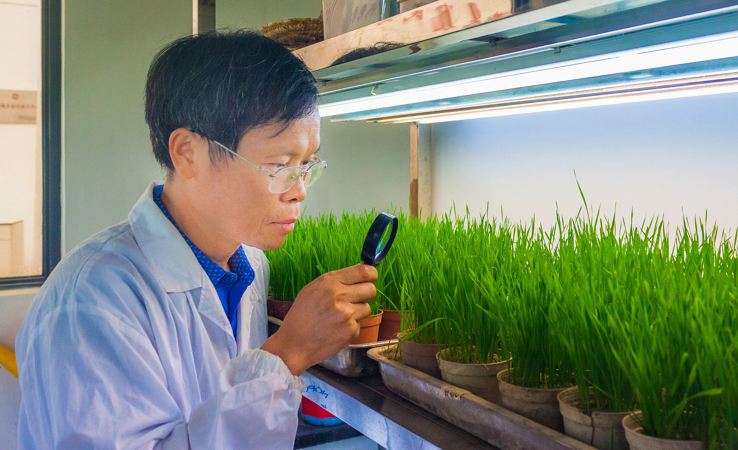 热烈祝贺我司研究院李谱超荣获2020年全国劳动模范 热烈祝贺我司研究院李谱超荣获2020年全国劳动模范